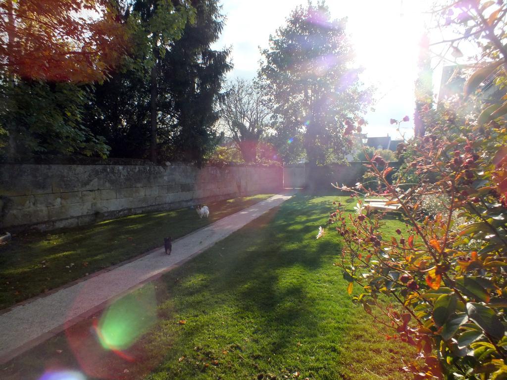 A La Fleur De Lys Panzió Langeais Kültér fotó