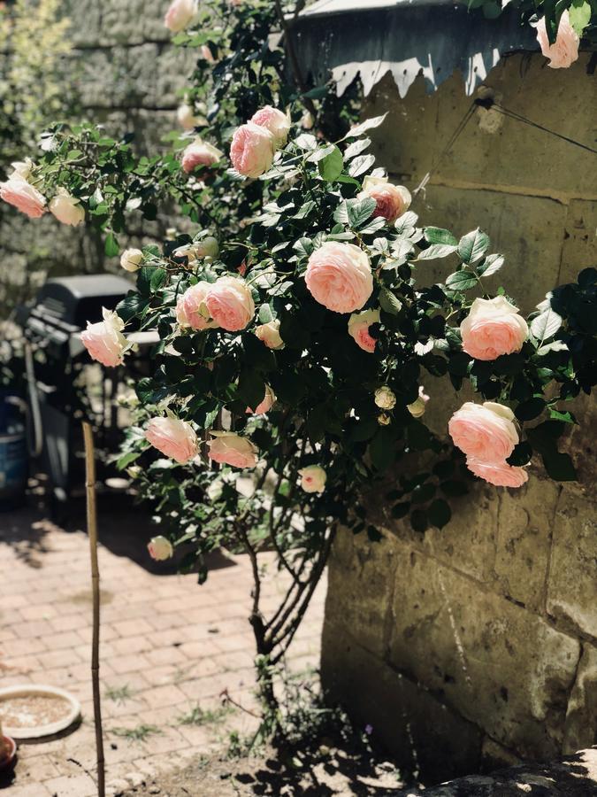 A La Fleur De Lys Panzió Langeais Kültér fotó